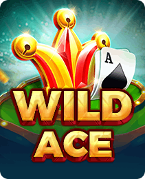 dk999 Game — Wild Ace slot game thumbnail